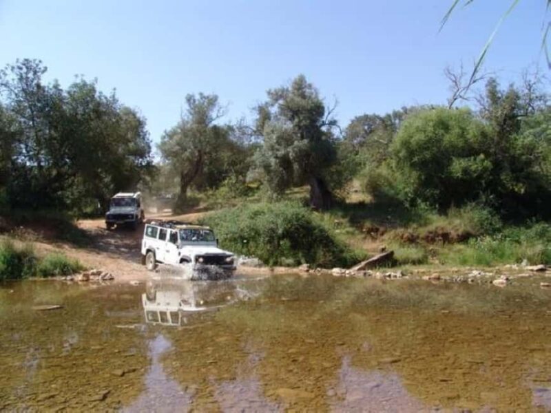 Jeep Safari & Benagil Boat Tour - Discover the Algarves Landscape and Local Flavors on a 4x4 Safari
