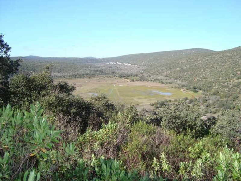 Jeep Safari & Benagil Boat Tour - Returning to Albufeira and Final Reflections