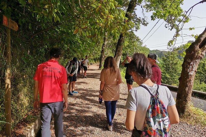 Jeep Safari in Pico Areeiro Santana Faial Full Day Tour - Explore Madeira’s Rugged Interior and Scenic Coastline in One Day