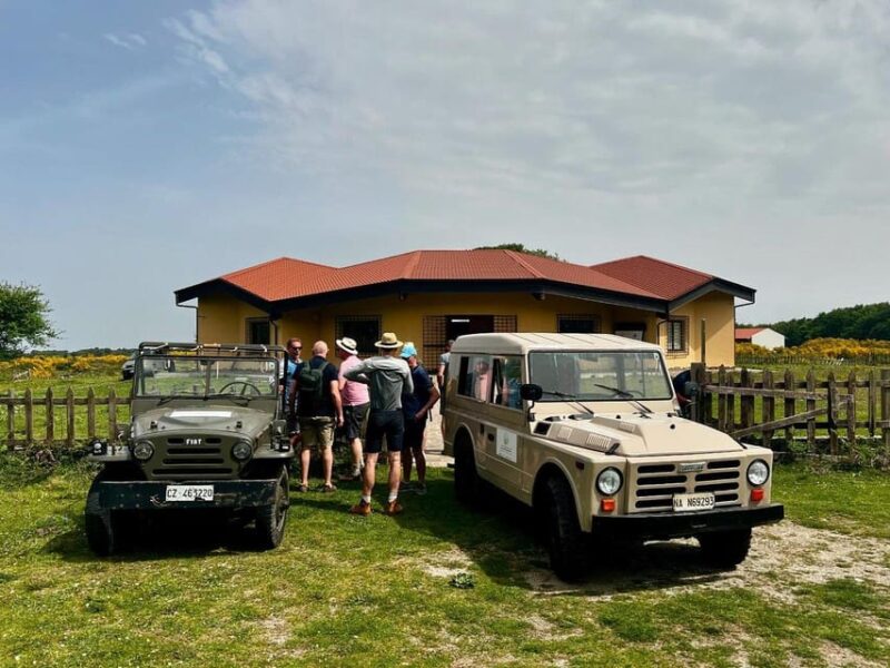 Jeep safari in the Aspromonte National Park - Practicalities and Accessibility