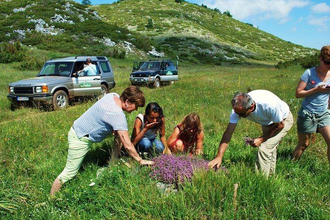 Jeep Safari National Park Galicica - Limitations and Considerations