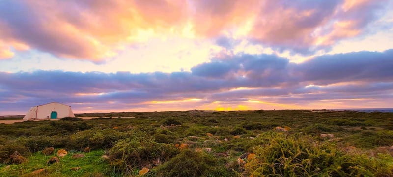 Jeep Safari Southwest - Half-Day - Logistics and Group Experience