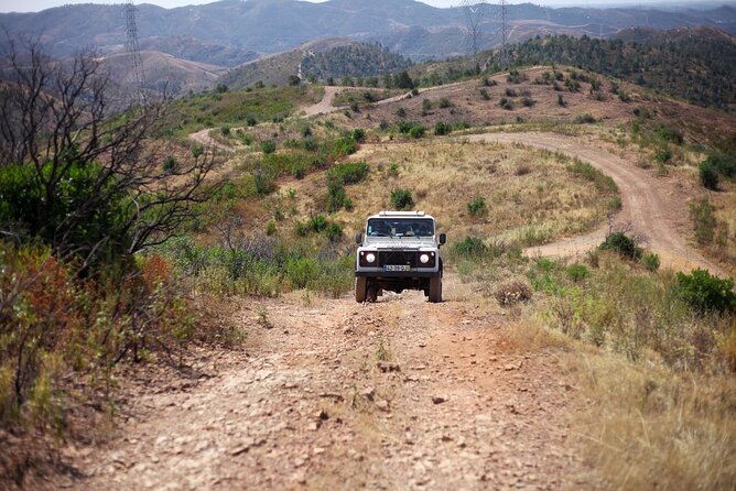 Jeep Safari to Akamas National Park: Avakas Gorge Tour from Paphos - The Bumpy Jeep Ride and Practical Tips