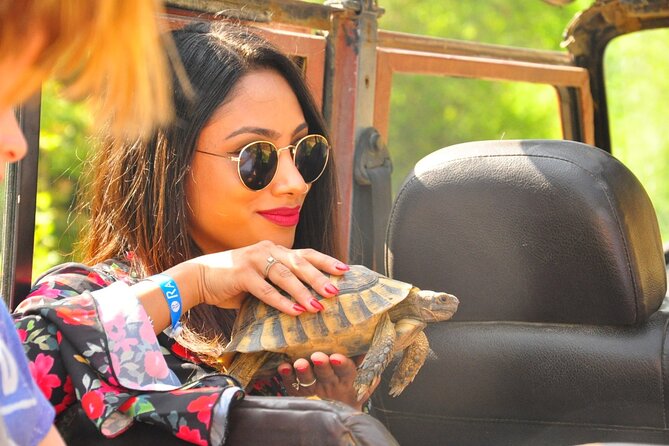 Jeep Safari to National Park From Kusadasi Port / Hotels - Explore Kusadasi’s Off-Road Wonders with a Guided Jeep Safari