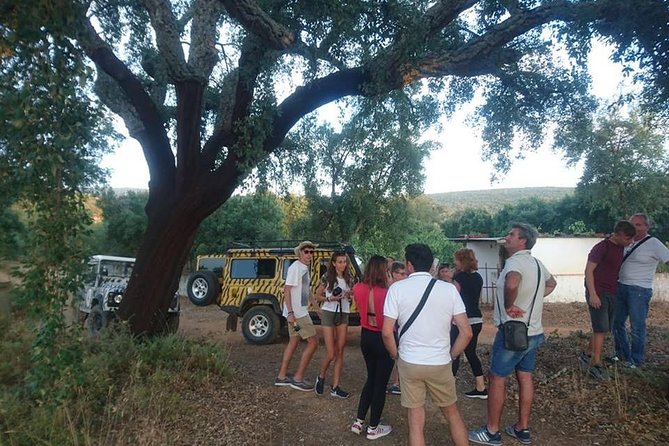 Jeep Safari Tour - Full Day - Cork Forests and Mountain Views at Sarnadas