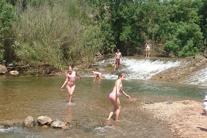 Jeep Safari Tour - Half Day - Tasting Local Liquors, Honey, and Jams