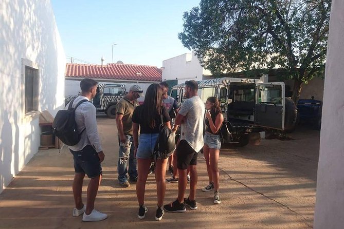 Jeep Safari Tour - Half Day - Family-Friendly Aspects and Accessibility