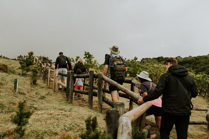 Jeep Safari Tour - Terceira Island FD - Exploring Lagoa das Patas and Its Forest Reserve
