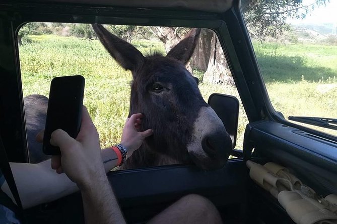 Jeep Safari Troodos - Kykkos monastery Waterfall and Venetian bridge from PAPHOS - Exploring the Troodos Mountains and Its Highlights