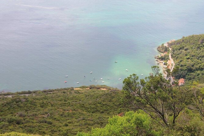 Jeep Tour through Arrábida Azeitão and Wine Tasting - Exploring the Natural Beauty of Arrábida Natural Park