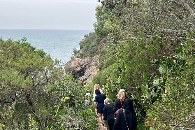 Jeep Tour through Arrábida Azeitão and Wine Tasting - Practical Details: Logistics and Group Size