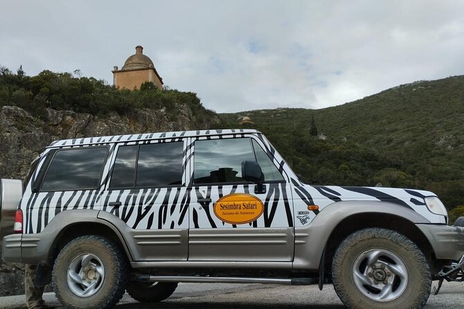 Jeep Tour through Arrábida Azeitão and Wine Tasting - Who Will Appreciate This Tour?