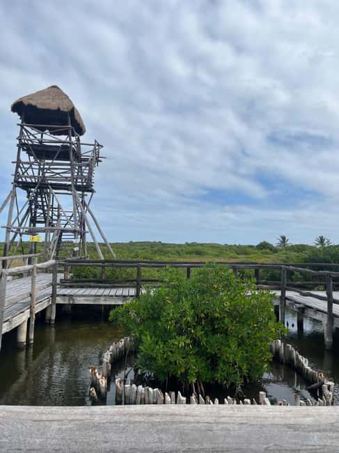 Jeep Tour to Punta Sur Eco Beach Park with Lunch - Explore Cozumel’s Top Attractions on a Jeep Tour for $136