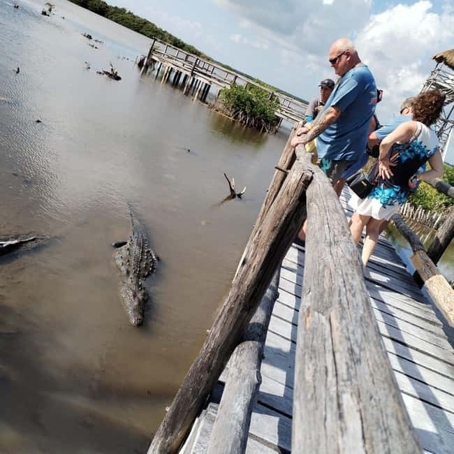 Jeep Tour to Punta Sur Eco Beach Park with Lunch - Key Points