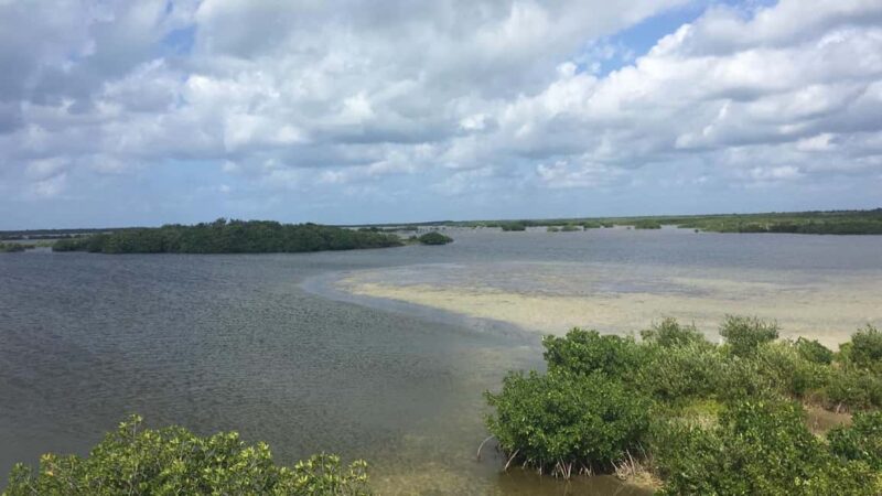Jeep Tour to Punta Sur Eco Beach Park with Lunch - Scenic Jeep Drive Between Sea and Jungle