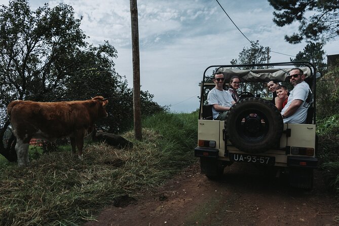 Jeep Tour To ,(Skywalk, Seixal, Porto Moniz, Fanal) - Discovering Hidden Gems Along the North Coast