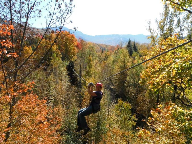 Jeffersonville, VT: ArborTrek Zipline Canopy Tour - Scenic Forest and Mountain Views from the Zipline Course