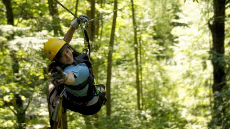 Jeffersonville, VT: ArborTrek Zipline Canopy Tour - The Natural Environment and Ecological Focus of the Tour