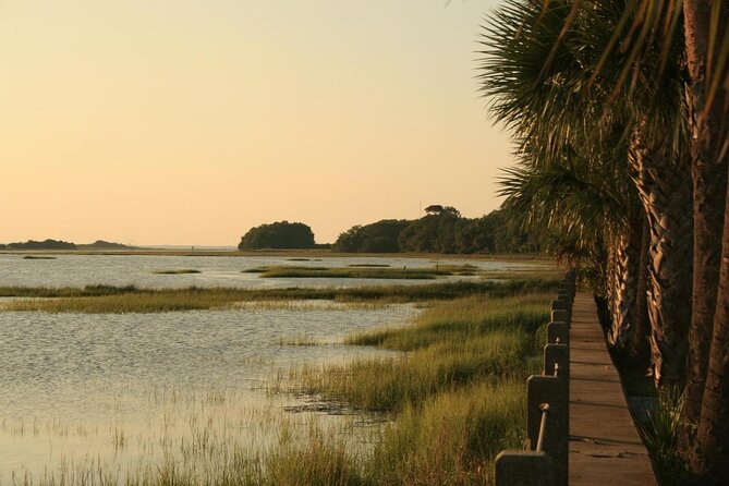 Jekyll Island Dolphin Tours - The Route: Coastal Waterways, Salt Marshes, and Wilderness Beaches