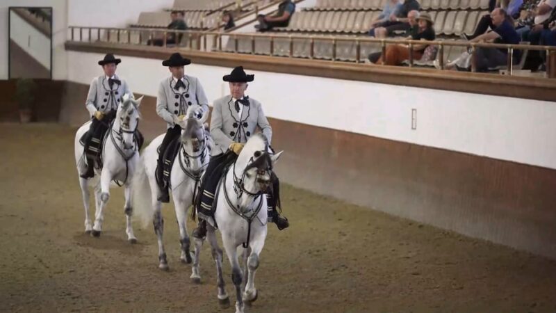 Jerez and Cadiz Private Tour from Seville - An Engaging Day Trip to Jerez and Cádiz from Seville for $442