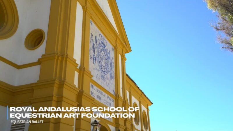 Jerez and Cadiz Private Tour from Seville - Detailed Itinerary and Key Stops