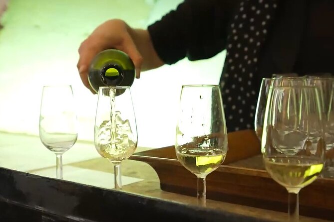 Jerez and Cadiz, with Horse Ballet and Sherry Tasting Full-day from Seville - Tasting Regional Wines: What to Expect at Bodegas y Vinedos Diez Merito