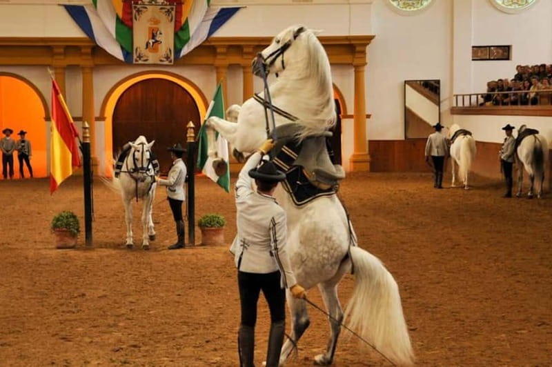 Jerez, Bodega Tío Pepe y Real Escuela de Arte Ecuestre - Starting Point and Transport Logistics