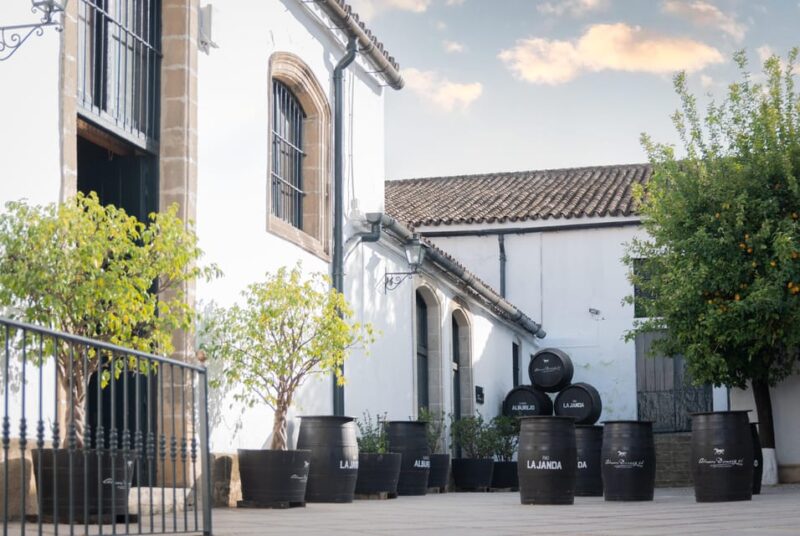 Jerez: Bodegas Álvaro Domecq Guided Tour with Wine Tasting - Key Points