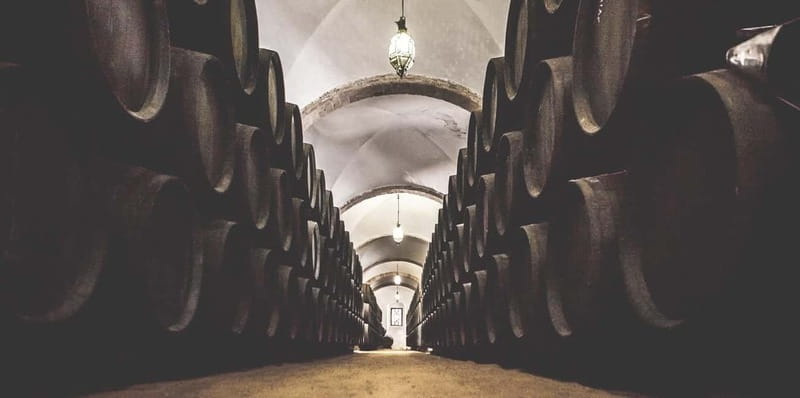 Jerez City Guided Tour and Winery Visit - Key Points