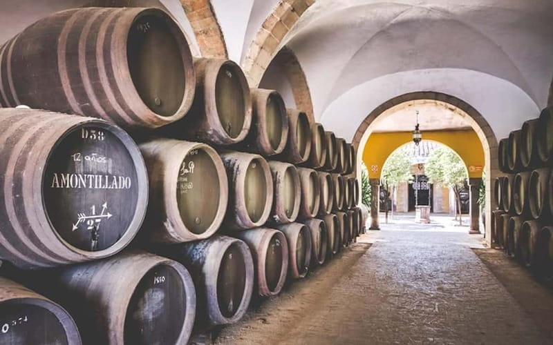 Jerez City Guided Tour and Winery Visit - Authentic Wine and Cultural Experience for Enthusiasts