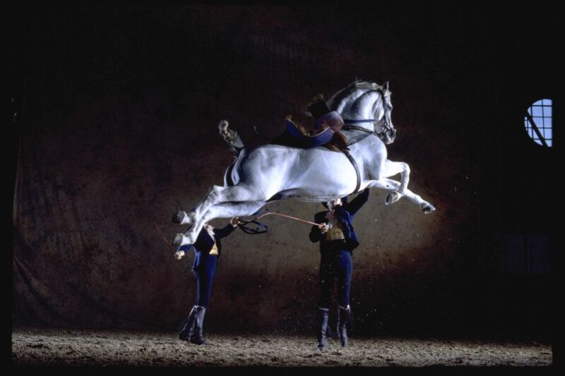 Jerez de la Frontera: How the Andalusian Horses Dance - Practical Details for Attending the Show