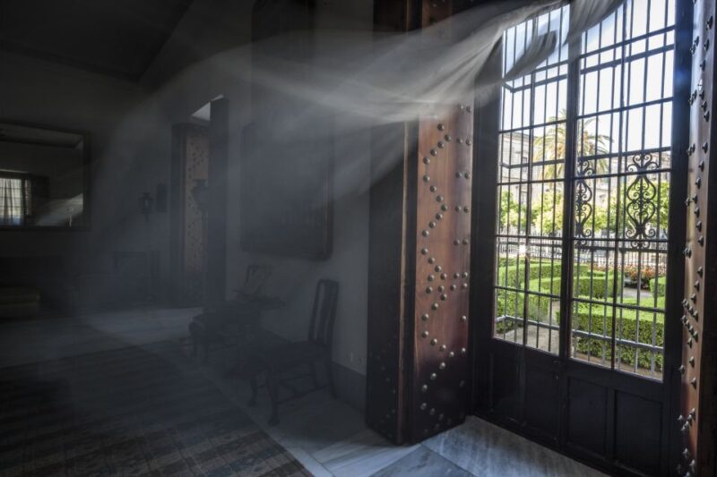 Jerez de la Frontera: Palacio Domecq Entrance Ticket - Practical Tips for Visiting the Palacio Domecq