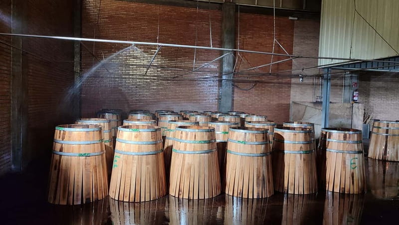 JEREZ DE LA FRONTERA: PREMIUM GUIDED TOUR TO THE COOPERAGE - Key Points