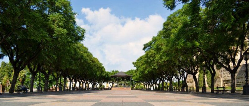 Jerez: Historic Center Guided Tour - The Optional Tasting of Jerez Wines