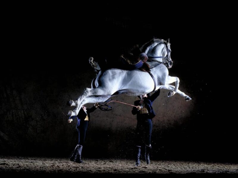 Jerez: Historic center of Jerez and horse show - Explore the Charm of Jerez’s Historic Center and Experience an Elegant Equestrian Show for $59