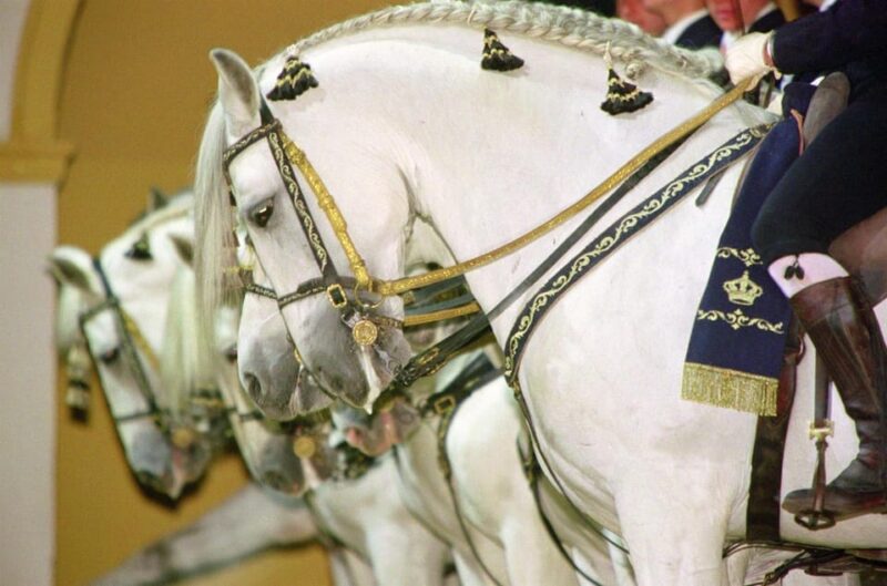 Jerez: Historic center of Jerez and horse show - Transfer to the Royal Andalusian School of Equestrian Art