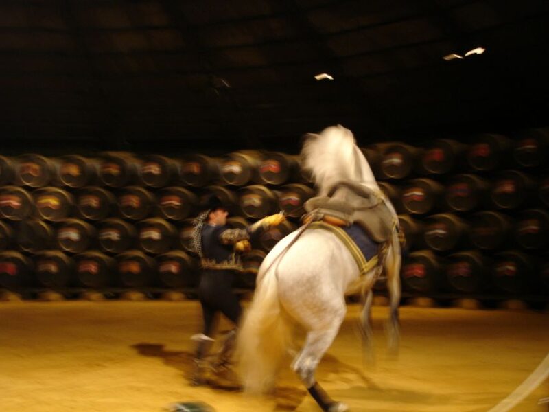 Jerez Private Tour From Seville: Wine and Equestrian Art - The Unique Experience of the Andalusian Horses Dance Show