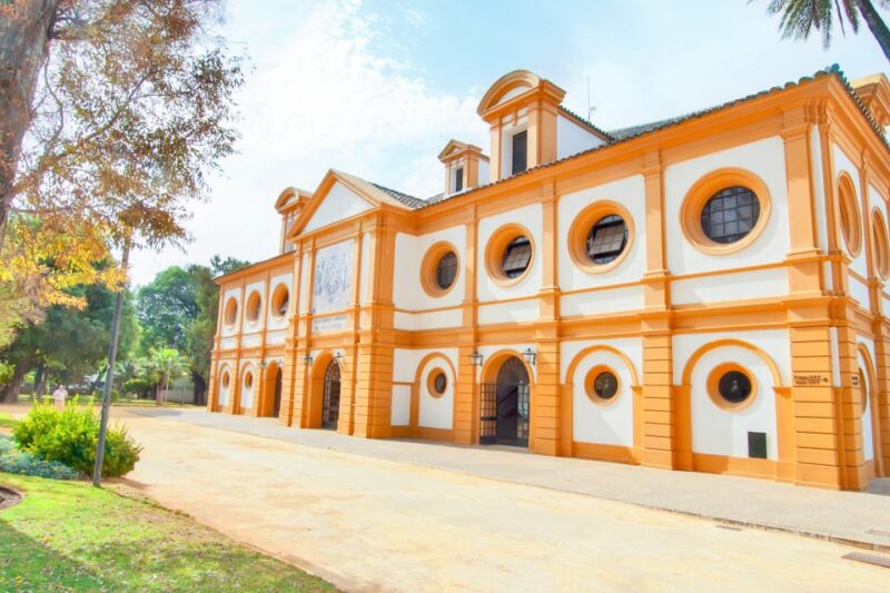 Jerez: Royal Andalusian School of Equestrian Art Admission - The Basement Museum of Equestrian Art