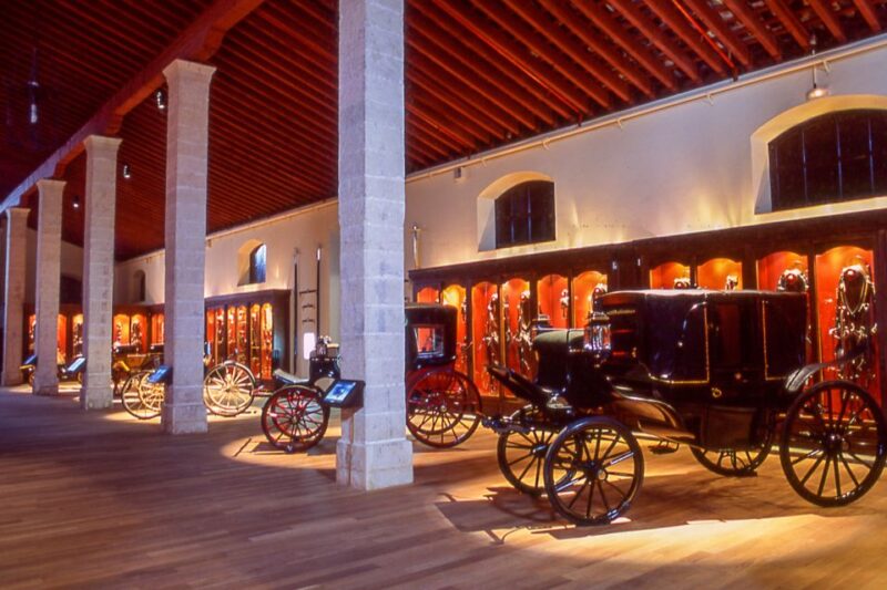 Jerez: Royal Andalusian School of Equestrian Art Admission - Watching Horse Training in Action (Except Saturdays)