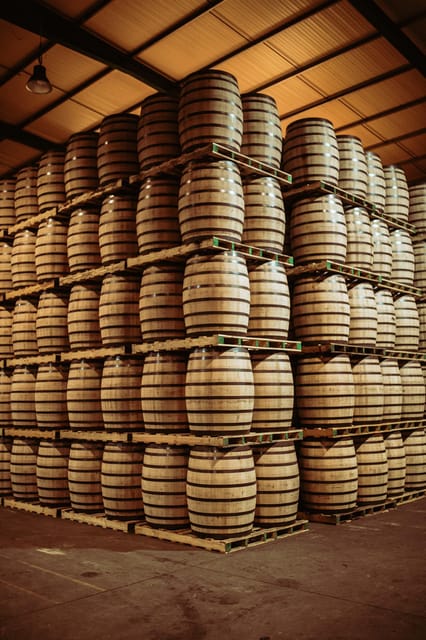 Jerez: Tour Bodegas Páez Morilla ESPAÑOL/DEUTSCH - Accessibility, Practicalities, and Booking Flexibility