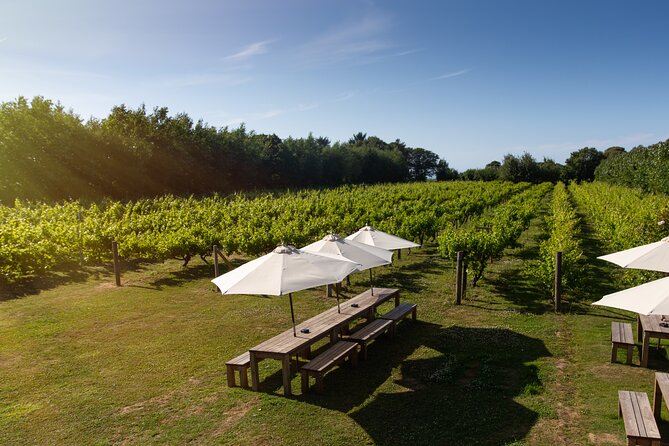 Jersey Premium Vineyard and Distillery Wine Tour and Tasting - Booking and Cancellation Policies