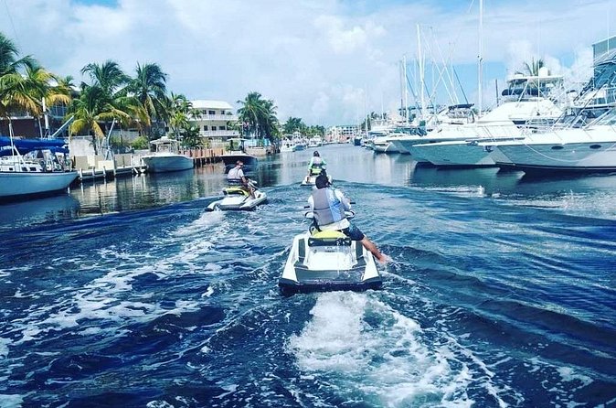 Jet Ski Eco Tour through Key Largo - What Makes the Tour Special: Speed, Views, and Eco-Consciousness