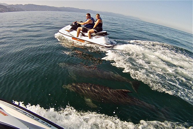 Jet Ski Safari in Puerto Vallarta - Encountering Marine Life: Dolphins, Turtles, and Rays