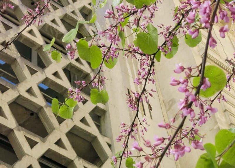 Jewish History Tour of Le Marais - Key Points