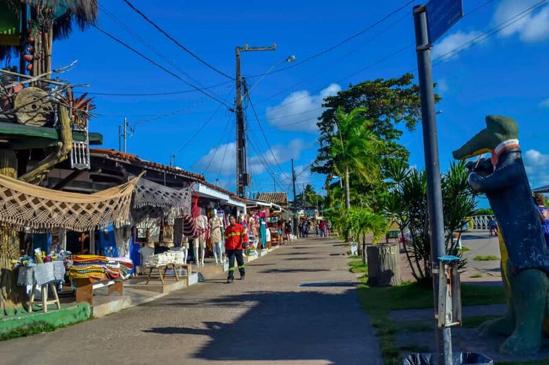 Joao Pessoa Northern Coast Beaches Day Tour - Key Points