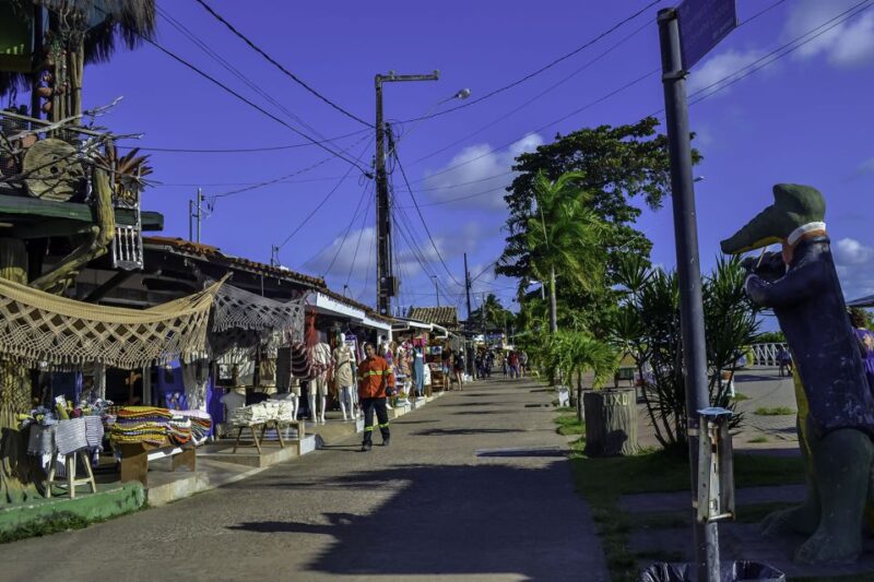 Joao Pessoa Northern Coast Beaches Day Tour - Optional Catamaran Ride on Rio Paraíba