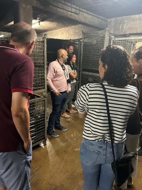 Johannisberg Rheingau: Wine tasting with cellar tour and hike - Visiting the Johannishof Winery and Cellar Tour