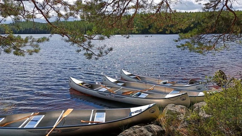Johannisholm: Guided Canoe Tour on Lake Venjanssjön - Paddling into the Peaceful Waters of Lake Venjanssjön