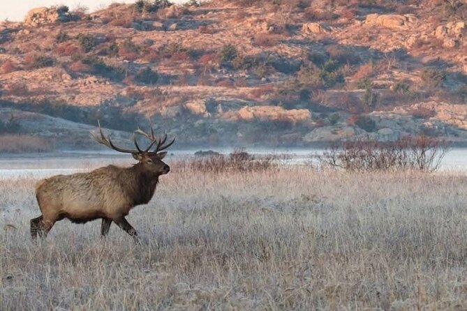 Johnson Canyon Lake Louise Emerald Lake Banff Gondola Hoodos - The Banff Gondola Experience: Panoramic Mountain Vistas