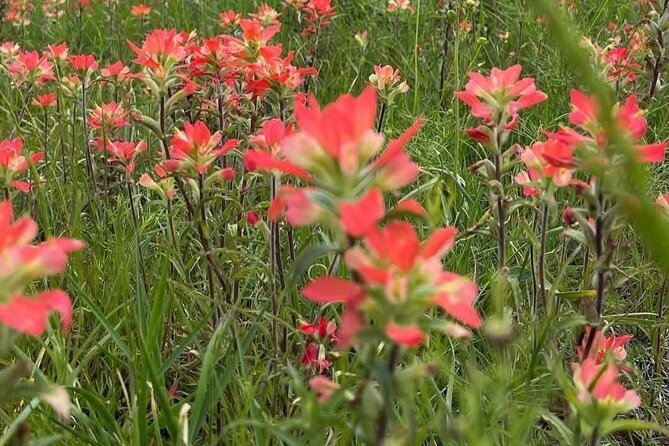 Johnson Canyon Lake Louise Emerald Lake Banff Gondola Hoodos - Practicalities: Logistics and Group Size